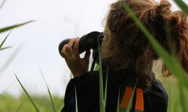 Observation nature camping de Lauwersoog