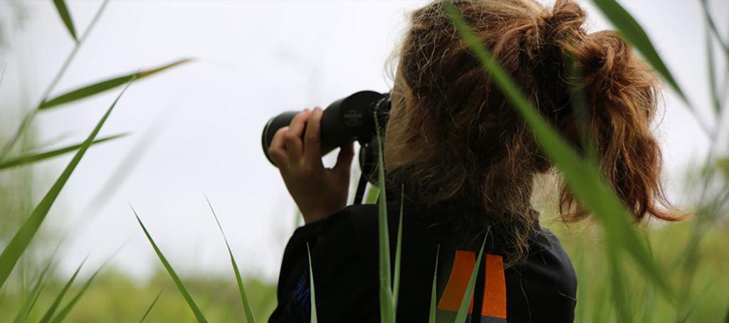 Observation nature camping de Lauwersoog