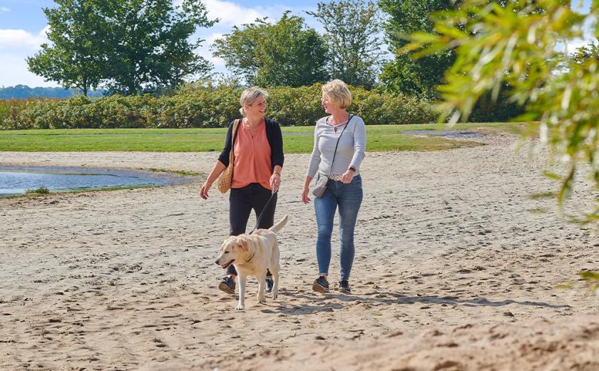 Balade au bord du lac au camping de Meerwijck aux Pays-Bas